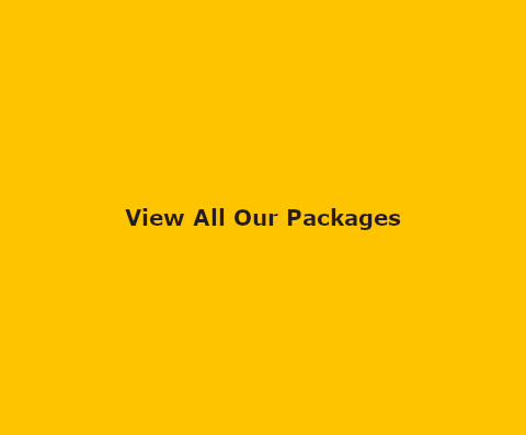 All Party Packages